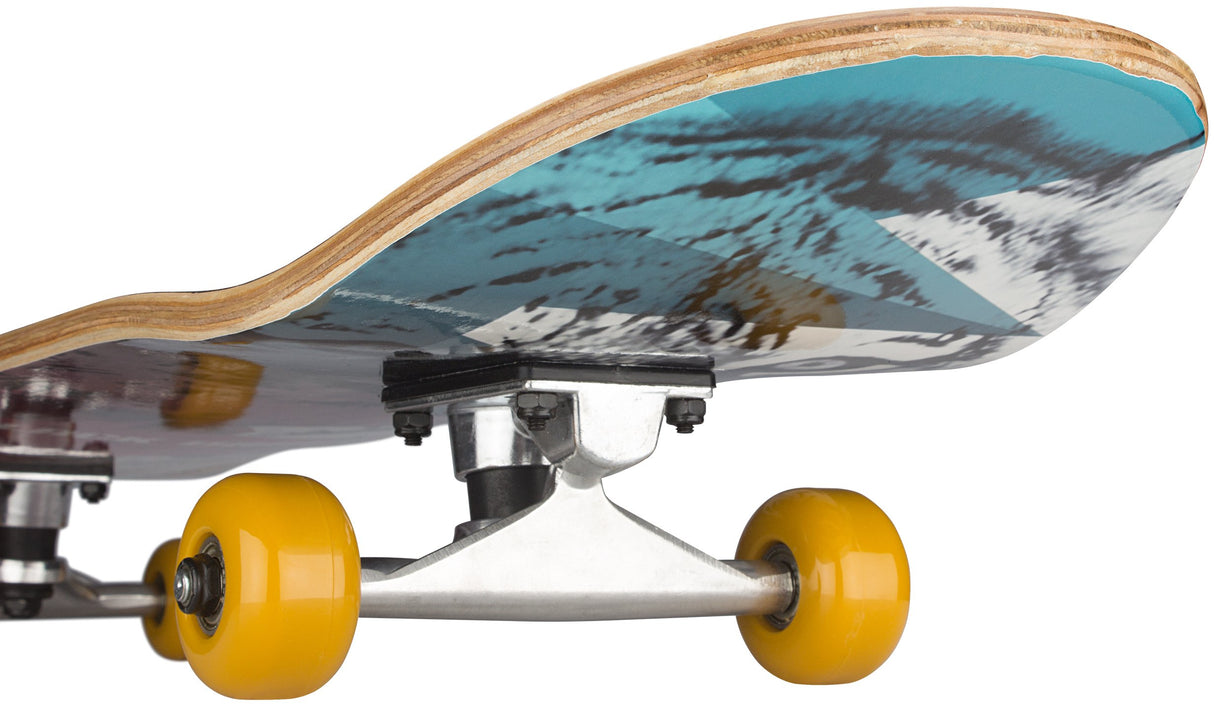 Skateboard Street Natives