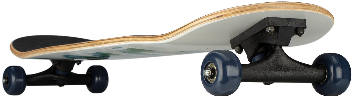 Rookie skateboard SssSkateme