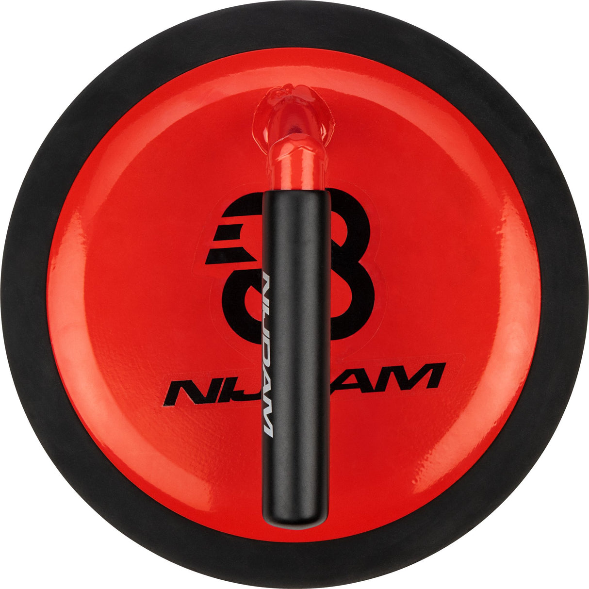 Curling Stone for Rental