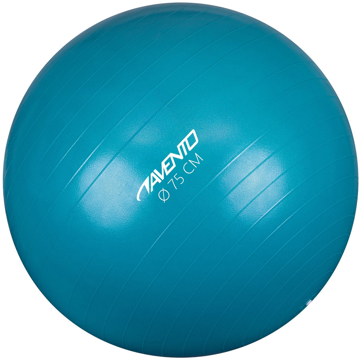 Fitness/Gym ball Ø 75 cm