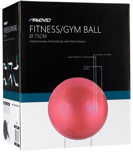 Fitness/Gym ball Ø 75 cm