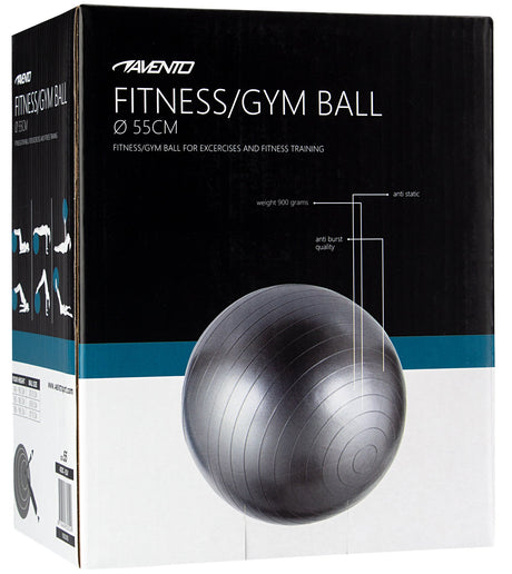 Fitness/Gym ball Ø 55 cm