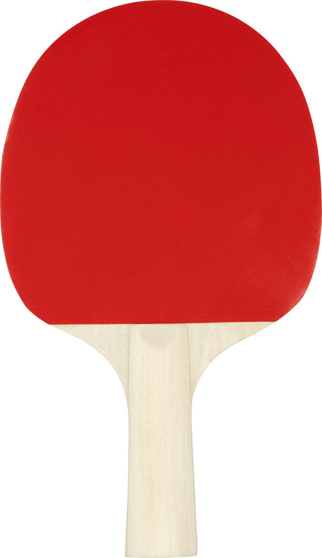 Table Tennis Set Team Up