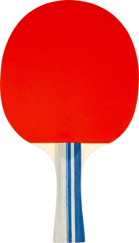 Bordtennissett komplett