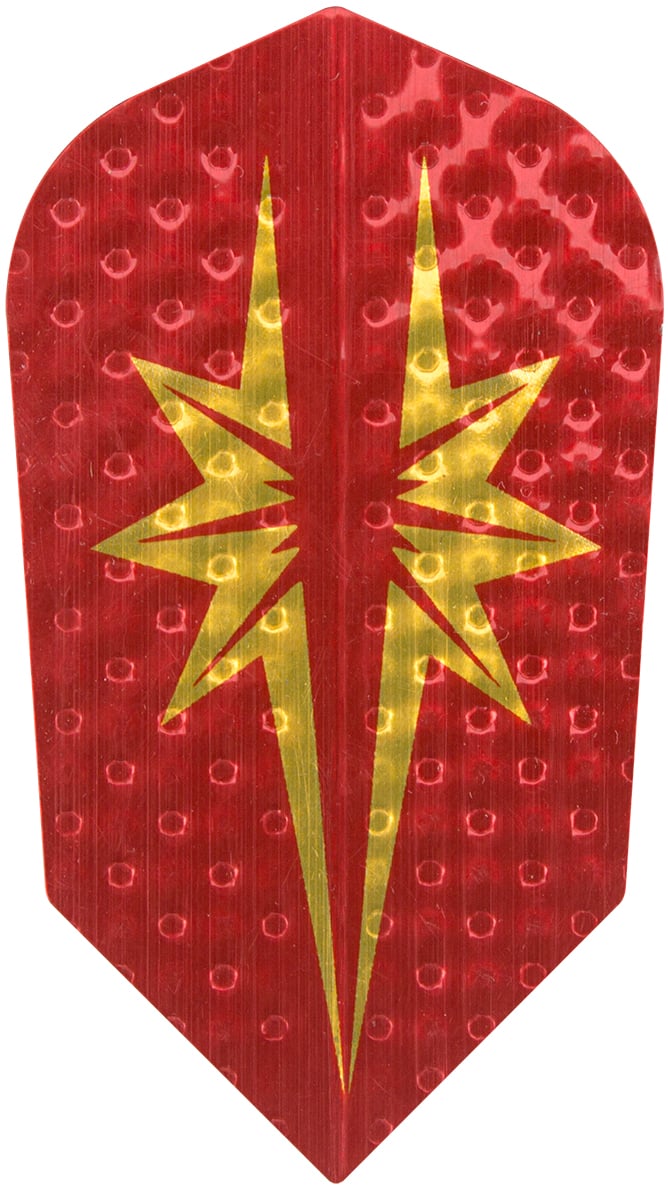 Dartsett med stålspiss/myk spiss