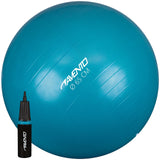 Fitness/Gym ball + pumpe Ø 65 cm