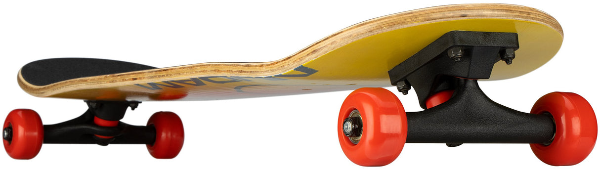 Rookie skateboard FinsSkateme