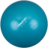 Fitness/Gym ball Ø 55 cm