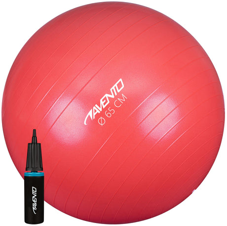 Fitness/Gym ball + pumpe Ø 65 cm