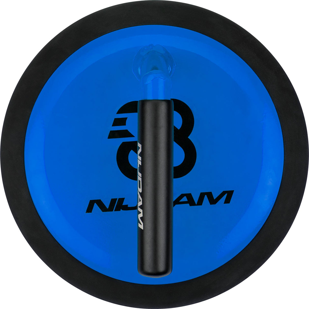 Curling Stone for Rental