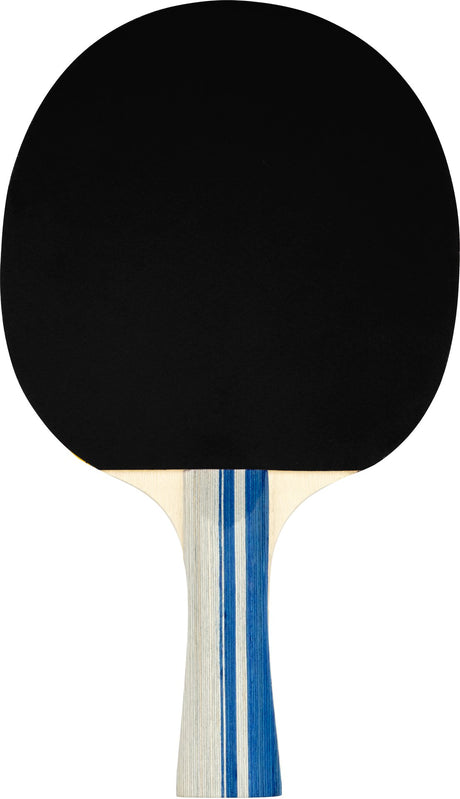 Bordtennissett komplett