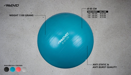 Fitness/Gym ball Ø 65 cm