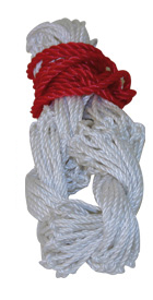 Ball Net for 2 Balls