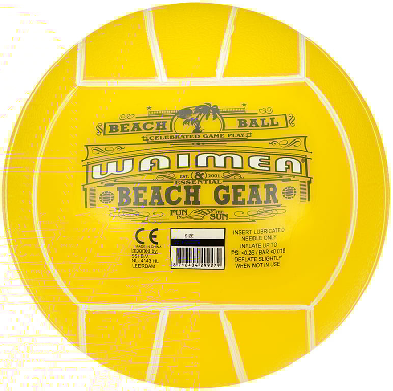 Beach Ball PVC 21 cm