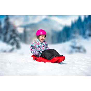 Sledge Plastic  Twister