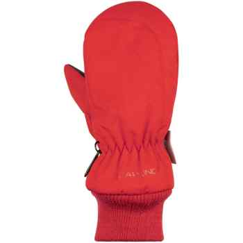 Ski mittens Taslan  Jr