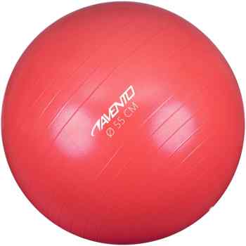 FitnessGym Ball   55 cm