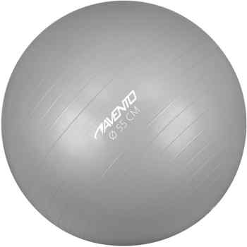 FitnessGym Ball   55 cm