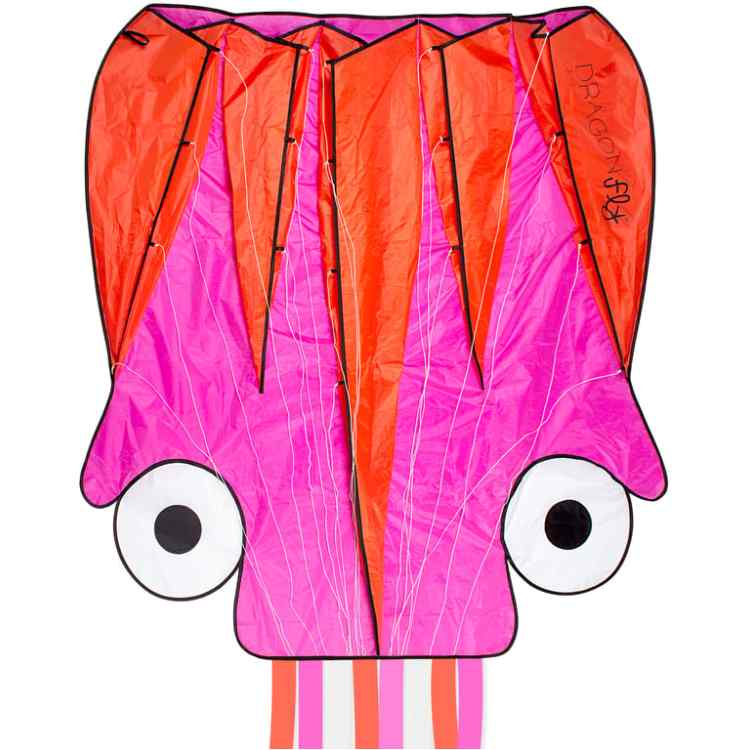 Kite  Octopus