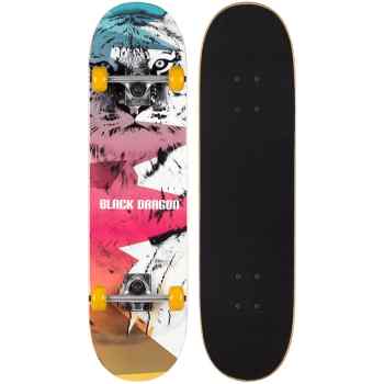 Skateboard  Street Natives