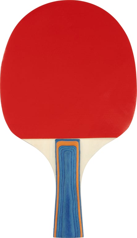 Table Tennis Bat  2Star