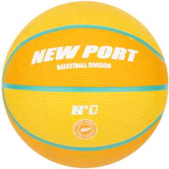 Mini Basketball Print  Size 1
