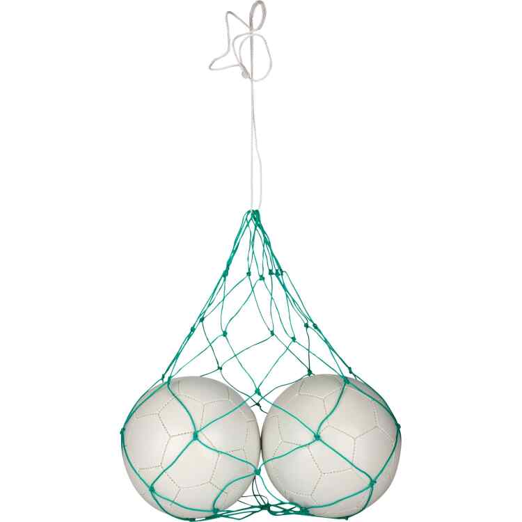 Ball Net for 2 Balls