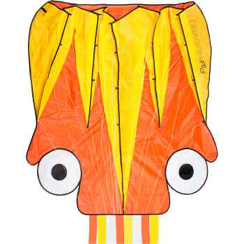 Kite  Octopus