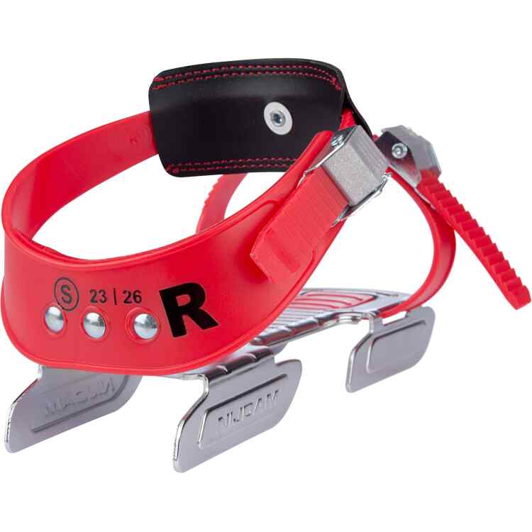 Rental  Bob Skates  Brisky Bob - Image 2