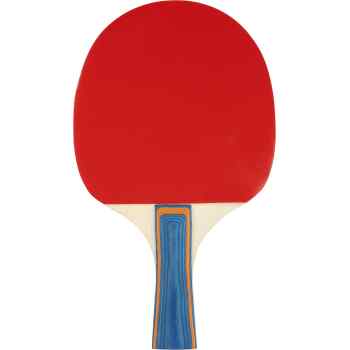 Table Tennis Bat  2Star