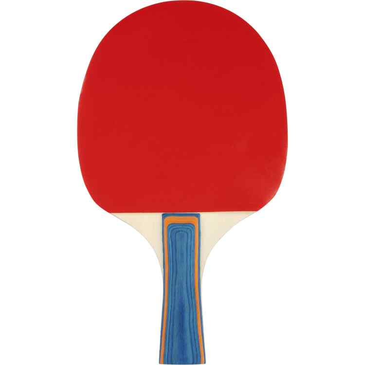 Table Tennis Bat  2Star
