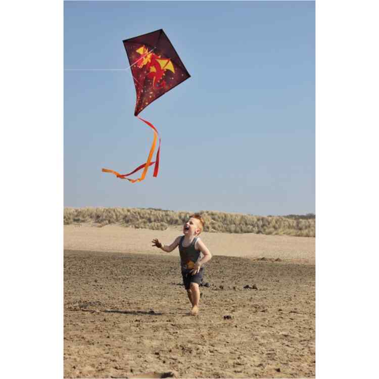 Diamond Kite  Dragon - Image 7