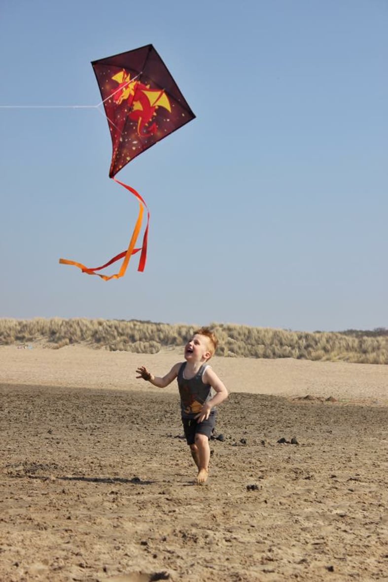 Diamond Kite  Dragon - Image 7