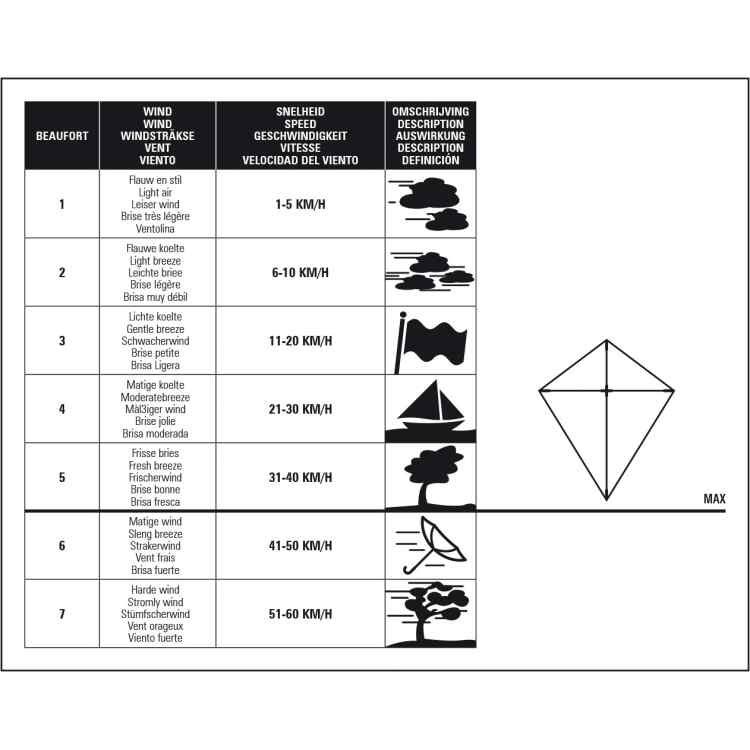 Diamond Kite  Green Dragon - Image 3