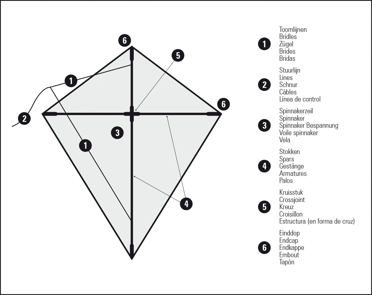 Diamond Kite  Green Dragon - Image 4