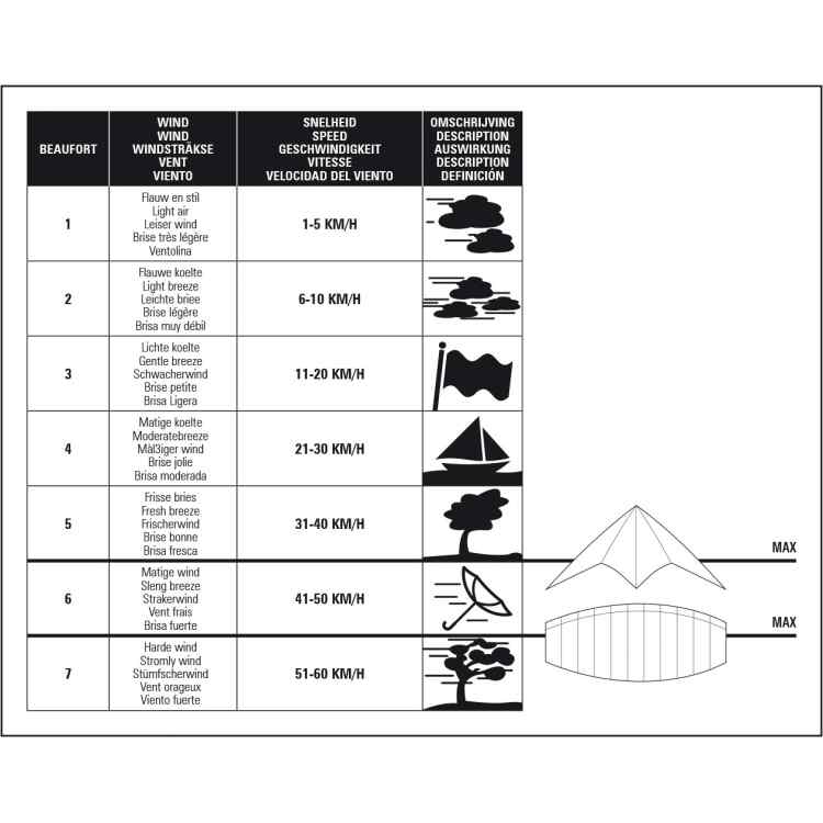 Kite  Eagle - Image 3
