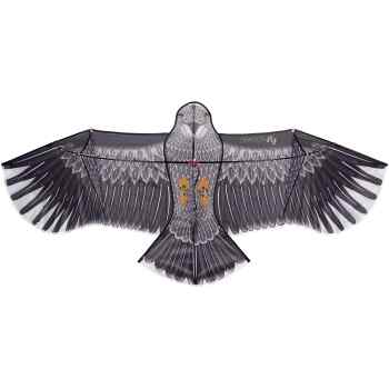 Kite  Eagle