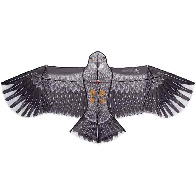 Kite  Eagle