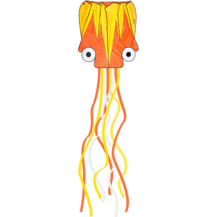 Kite  Octopus - Image 2