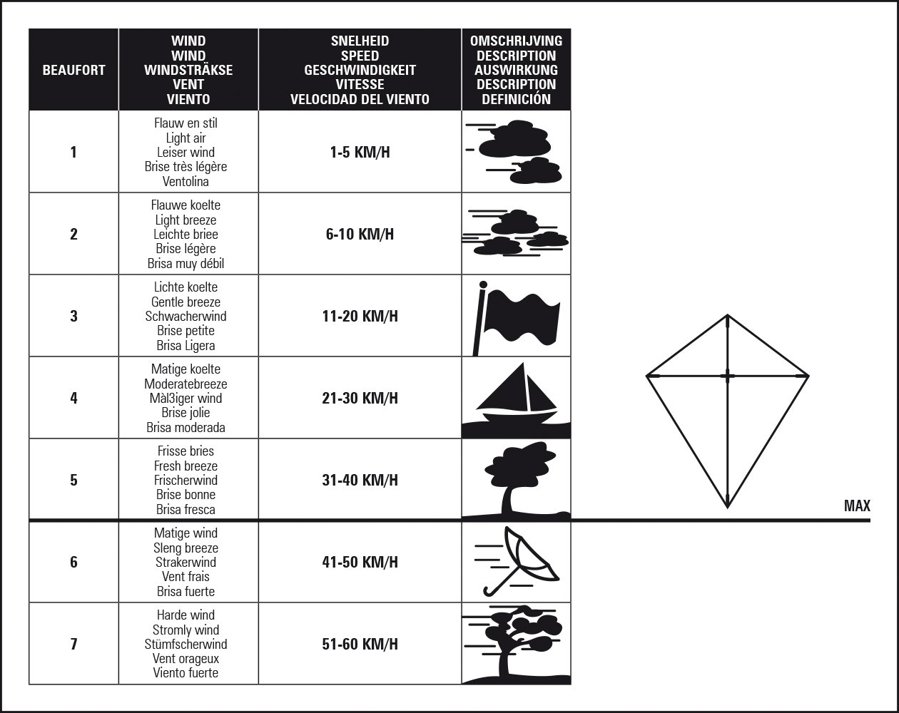 Kite  Octopus - Image 6
