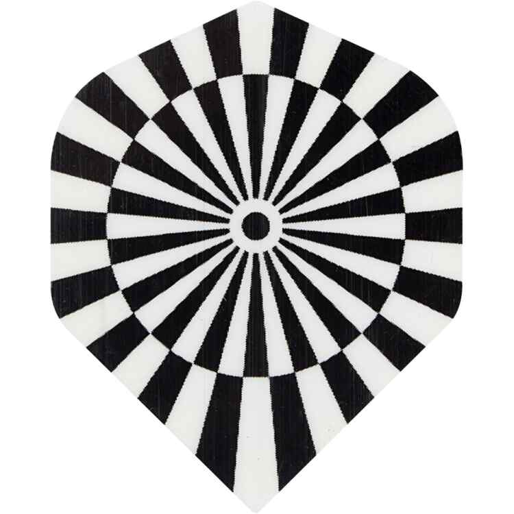 Dart Set  Steel TipSoft Tip - Image 4