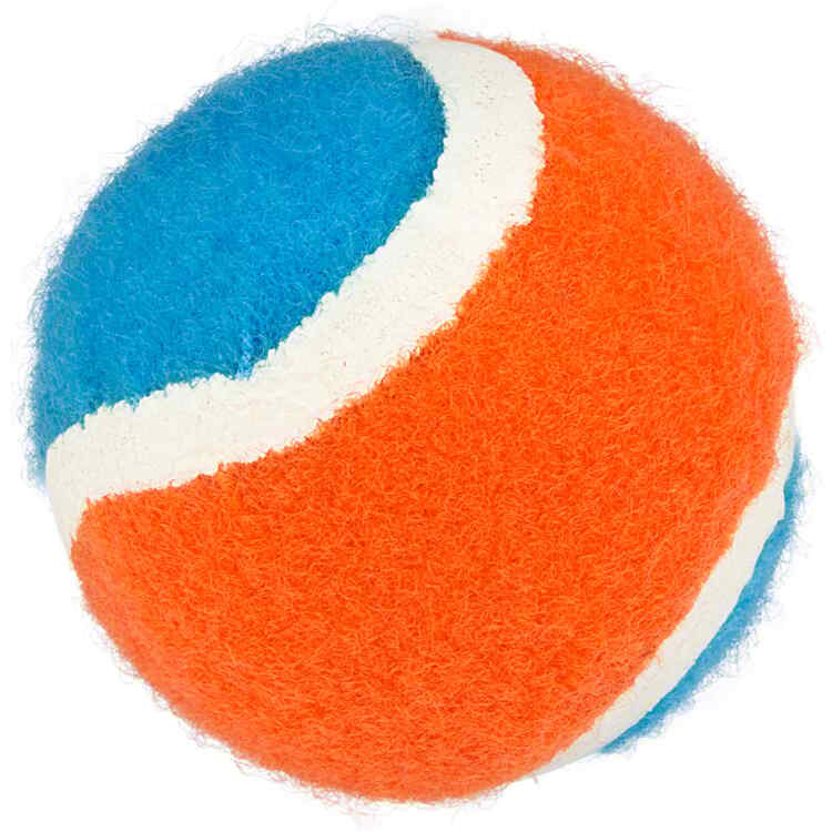 Catch Ball Set - Image 4