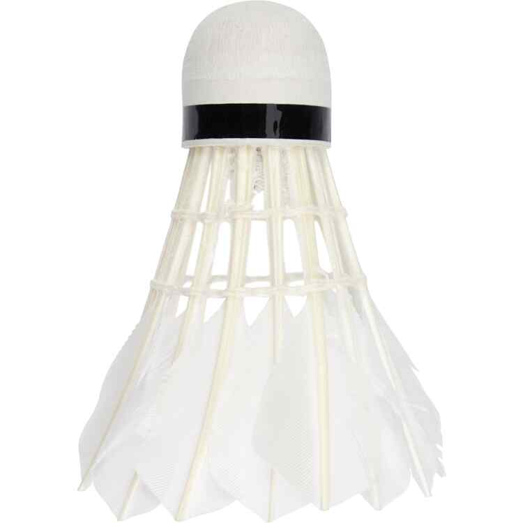 Badminton Set  Instant - Image 11